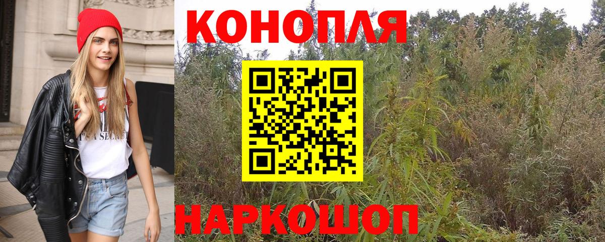 Конопля OG Kush  Вход с VPN  Бошки марихуана семена  Десногорск  Марихуана Amnesia 